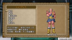 ドラゴンクエスト10 | ドラクエ10 | ドラゴンクエストX 目覚めし五つの種族 オンライン