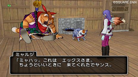 ドラゴンクエスト10 | ドラクエ10 | ドラゴンクエストX 目覚めし五つの種族 オンライン